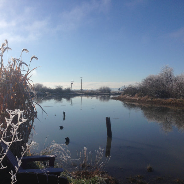 CLOSED NEW YEARS 1/1/18