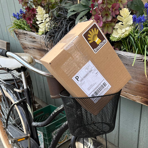 ALL SHIPPING