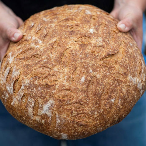 BREAD
