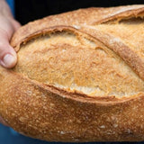 Bread Pre-Order